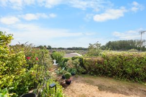 Photo 23- click for photo gallery